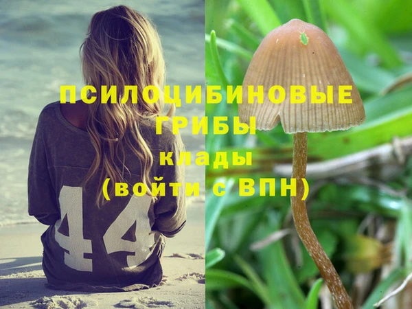 mix Алексин