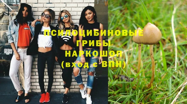 mix Алексин