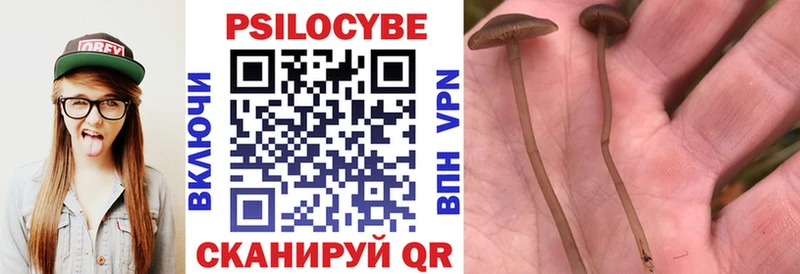 Галлюциногенные грибы ЛСД  хочу наркоту  Пучеж 